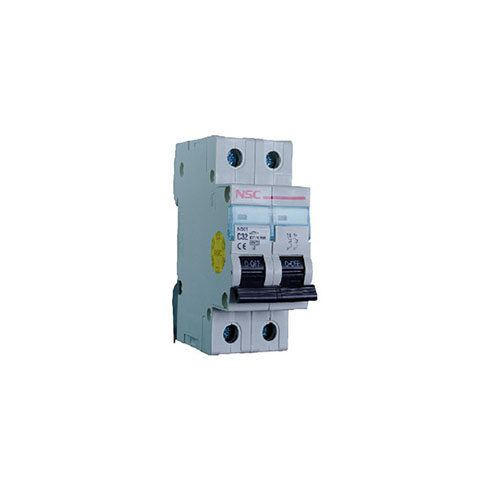 کلید مینیاتوری تیپ B,C مدل NS01-2P